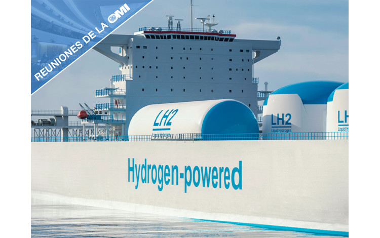 Progress in the development of guidelines for the safety of hydrogen and ammonia-fueled ships