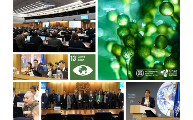 Seminario t&eacute;cnico sobre el uso de biocarburantes en el transporte mar&iacute;timo