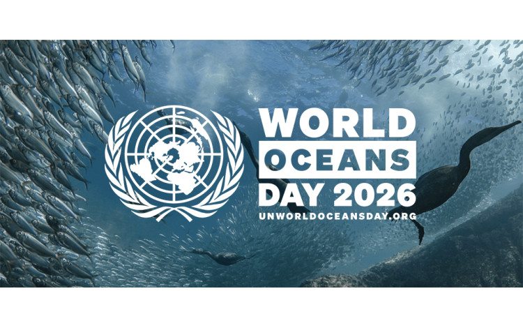 The IMO urges countries to implement ocean policies